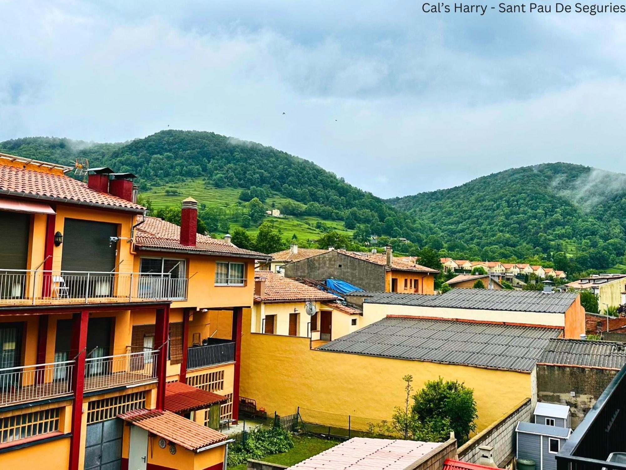 Cal Harrys - La Mejor Casa De Vacaciones En Pyrenees Con Vistas A La Montana Sant Pau de Seguries Bagian luar foto